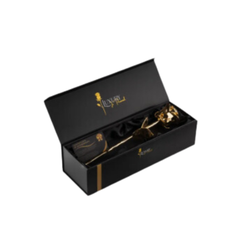 Design sem nome – 2024-10-20T205504.703 Design sem nome - 2024-10-20T205504.703